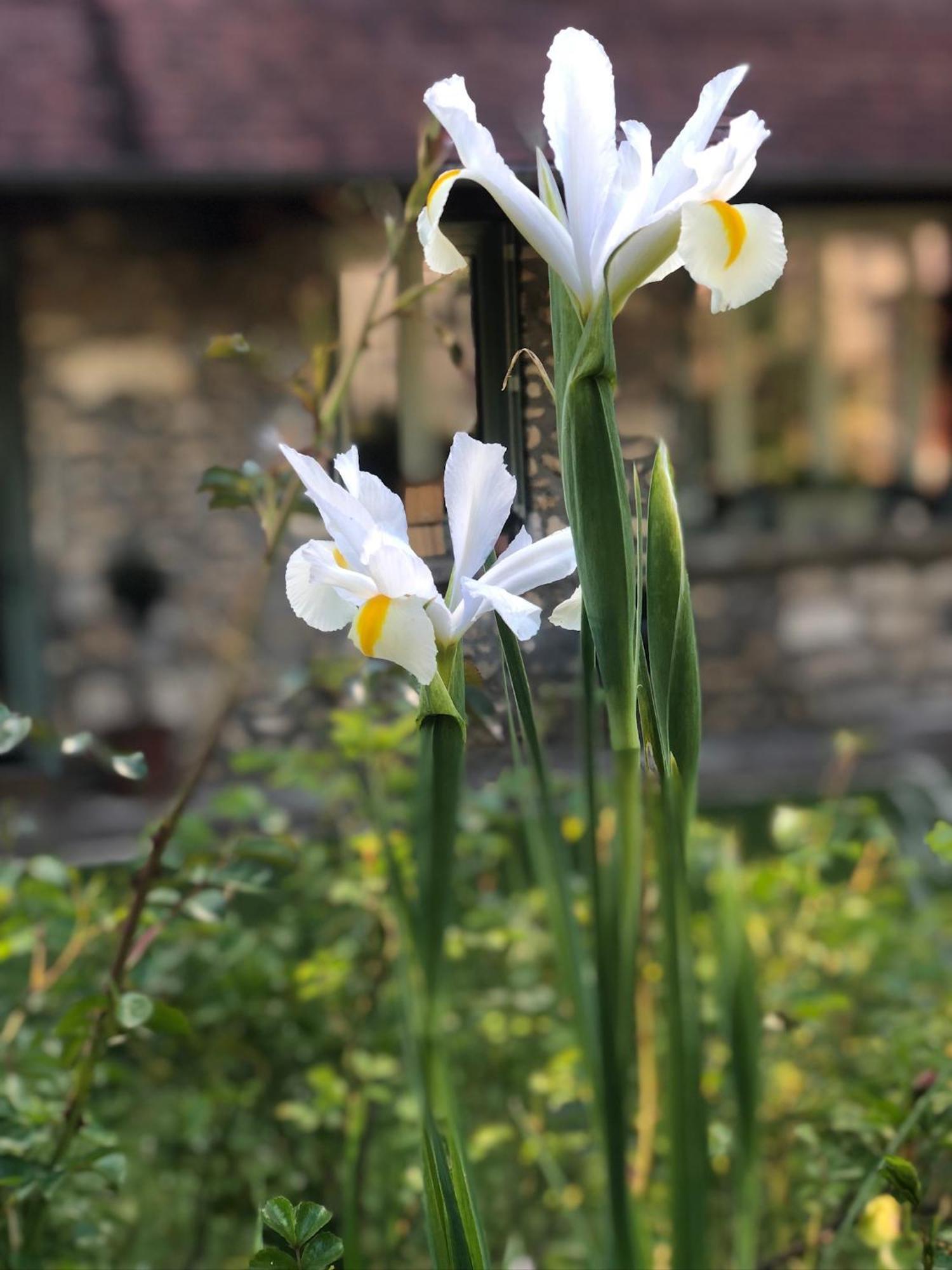 Le Clos Des Songes Blaru Buitenkant foto